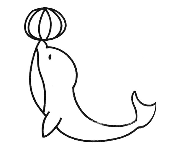 6款海豚简笔画图片 6款海豚怎么画