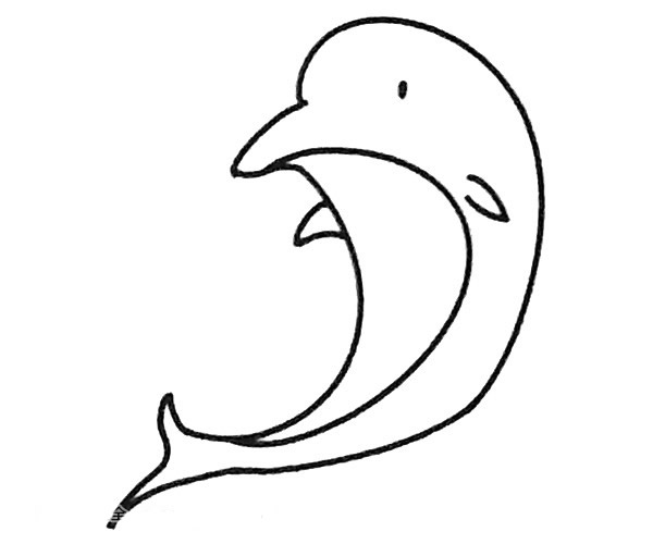6款海豚简笔画图片 6款海豚怎么画