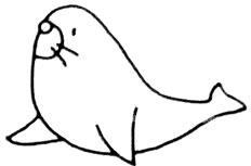 海狮简笔画图片 海狮怎么画