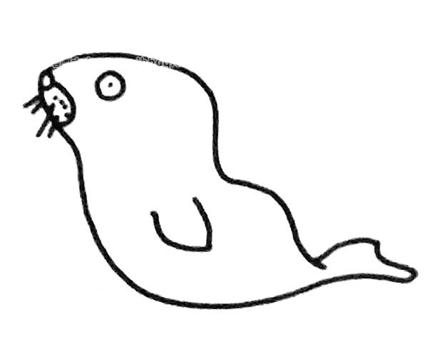 6款海狮简笔画图片 海狮怎么画