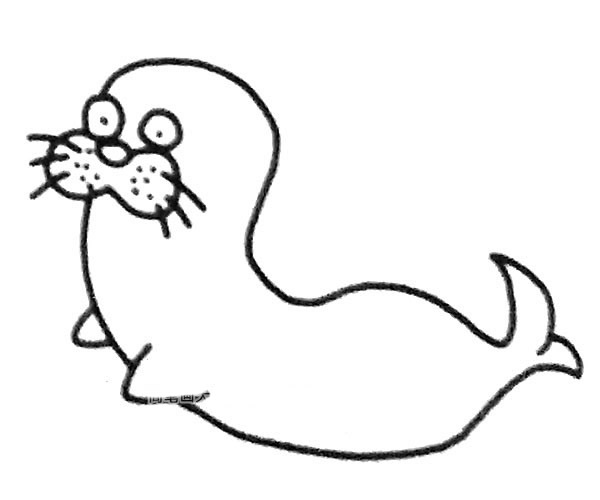 6款海狮简笔画图片 海狮怎么画
