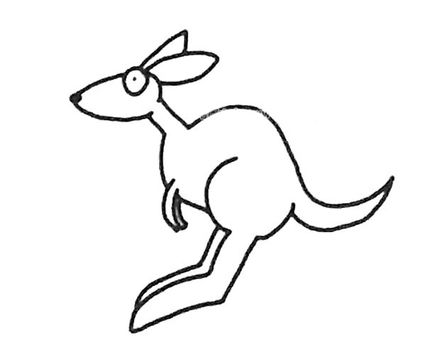 6款卡通袋鼠简笔画图片 卡通袋鼠怎么画
