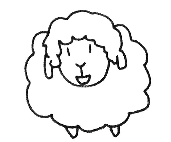 六张可爱的绵羊简笔画图片 可爱的绵羊怎么画
