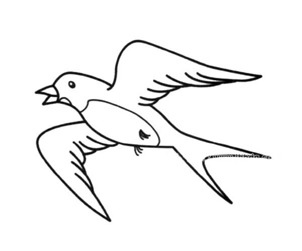 飞翔的燕子简笔画图片 飞翔的燕子怎么画