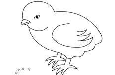 简单的小鸡吃米简笔画图片怎么会