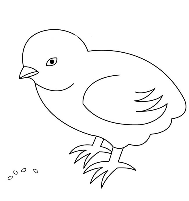 简单的小鸡吃米简笔画图片怎么会