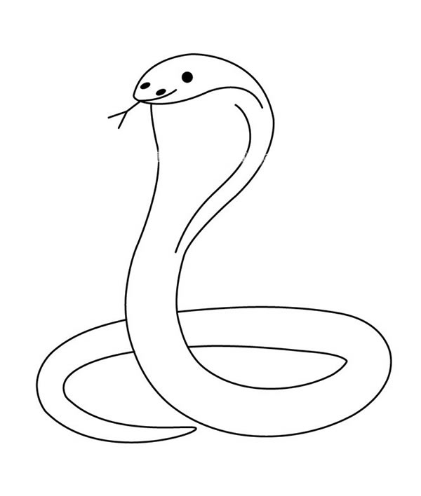 眼镜蛇的简笔画图片 眼镜蛇怎么画