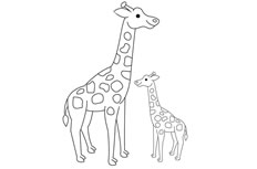 长颈鹿简笔画图片 长颈鹿怎么画