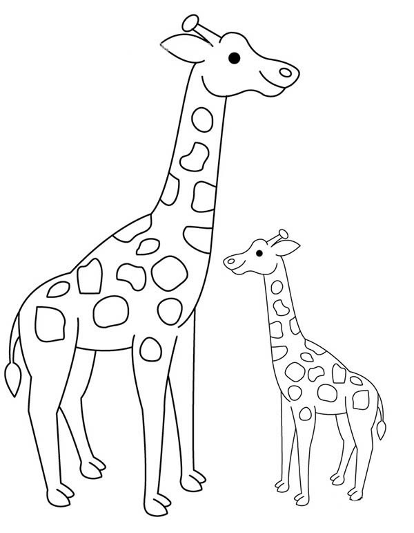 长颈鹿简笔画图片 长颈鹿怎么画