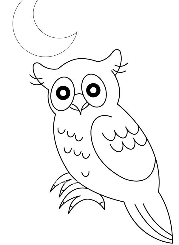 月光下的猫头鹰简笔画图片怎么画