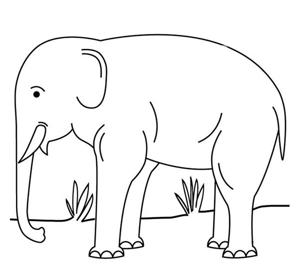 草地上的大象简笔画图片怎么画