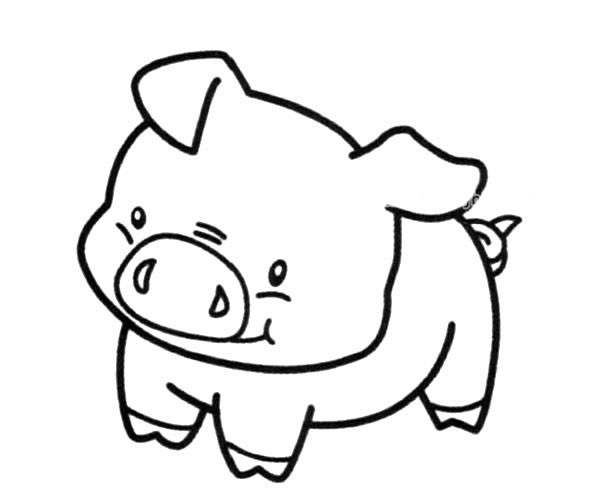 可爱的猪宝宝简笔画图片怎么画