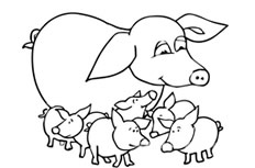 猪妈妈和一群小猪简笔画图片怎么画