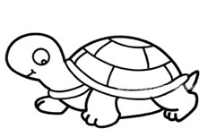 可爱的小乌龟简笔画图片 乌龟怎么画