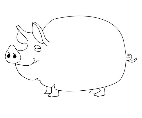 母猪简笔画图片 猪怎么画