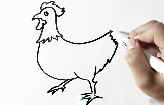大公鸡简笔画图片 公鸡怎么画