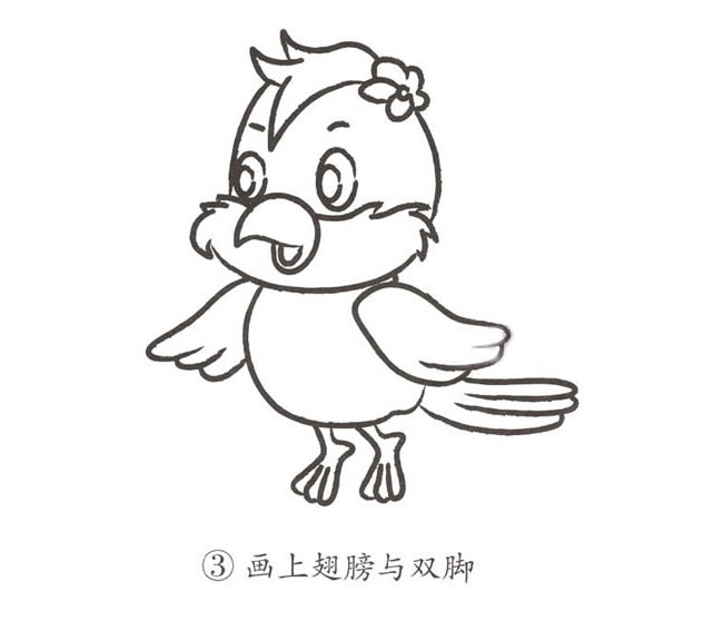 可爱的鹦鹉简笔画图片 鹦鹉怎么画