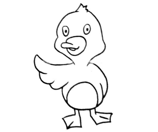 卡通小鸭子简笔画图片 鸭子怎么画