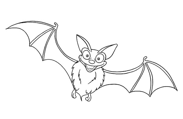 卡通蝙蝠简笔画图片 蝙蝠怎么画