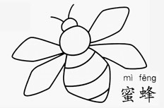 小蜜蜂怎么画简笔画图片