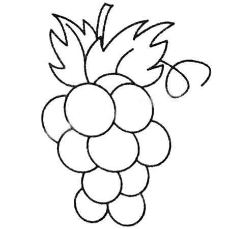 6款葡萄简笔画图片 葡萄怎么画