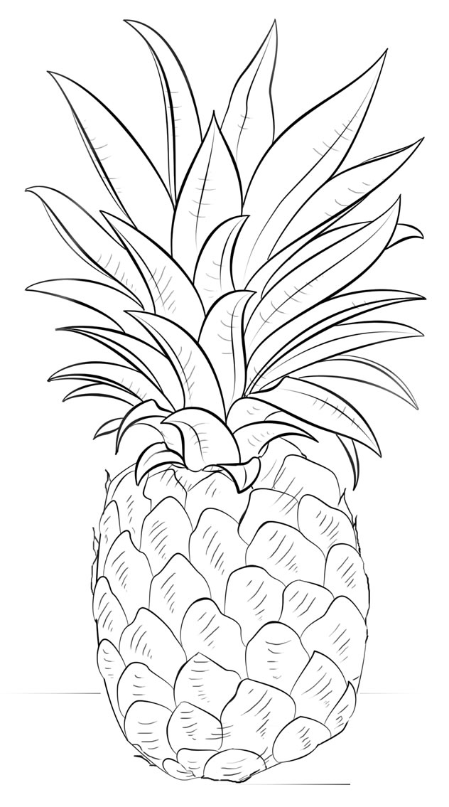 5款菠萝简笔画图片 菠萝怎么画