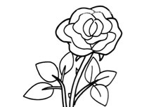带刺的玫瑰花简笔画图片 带刺的玫瑰花怎么画