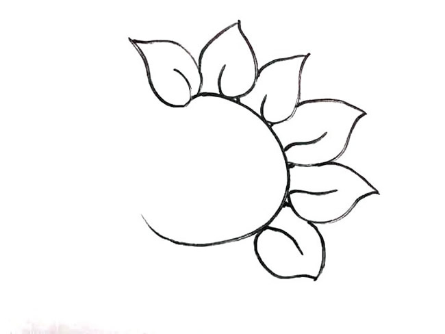 阳光中的向日葵简笔画图片怎么画