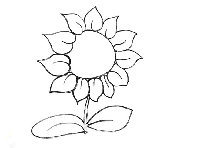 阳光中的向日葵简笔画图片怎么画