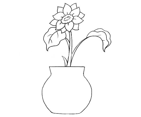 花瓶和花简笔画图片 花瓶和花怎么画