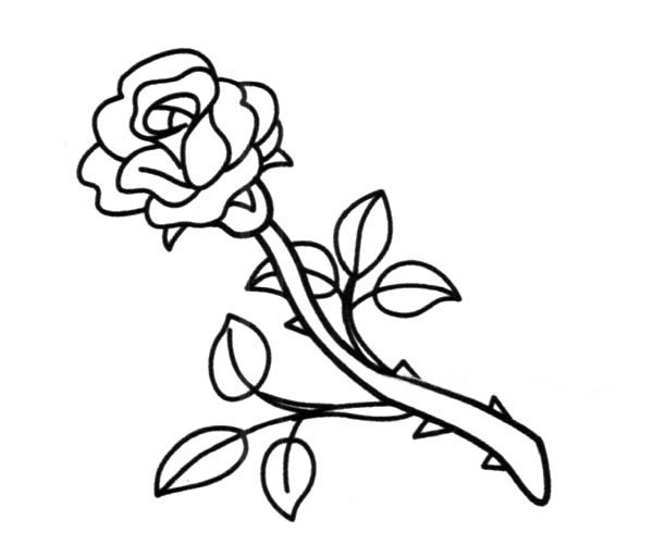 一支玫瑰花简笔画图片 一支玫瑰花怎么画
