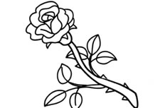 一支玫瑰花简笔画图片 一支玫瑰花怎么画
