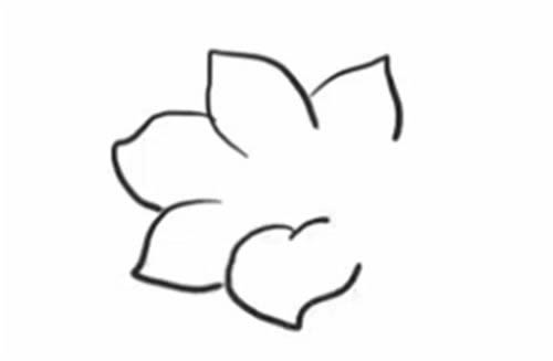 杜鹃花植物简笔画图片怎么画
