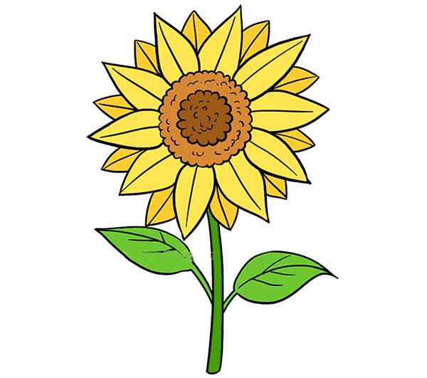 黄色向日葵植物简笔画图片 向日葵怎么画