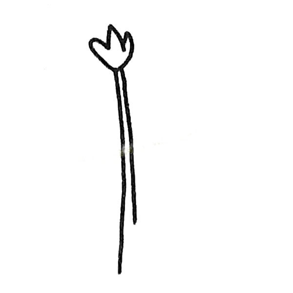 风信子植物简笔画图片怎么画