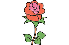 红玫瑰简笔画图片怎么画