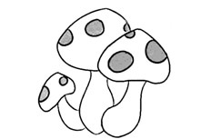 可爱蘑菇简笔画图片 蘑菇怎么画