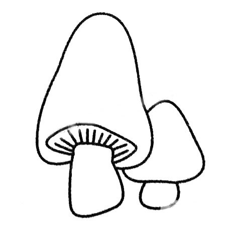 小蘑菇简笔画图片 小蘑菇怎么画