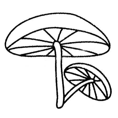 多款蘑菇简笔画图片 多款蘑菇怎么画