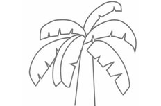 芭蕉树简笔画步骤图解教程