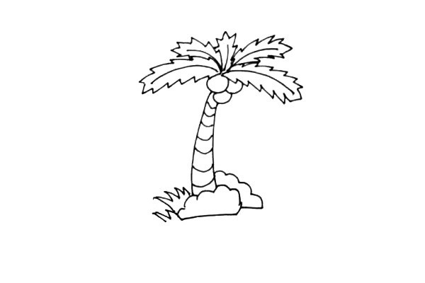 彩色椰子树简笔画图片 彩色椰子树怎么画