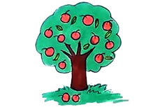 彩色苹果树简笔画图片 彩色的苹果怎么画