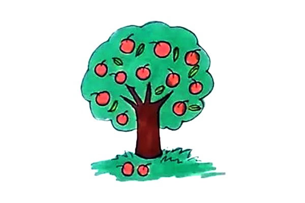 彩色苹果树简笔画图片 彩色的苹果怎么画