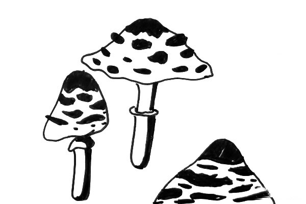 一组蘑菇简笔画图片怎么画