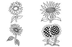 向日葵植物简笔画图片 向日葵植物怎么画