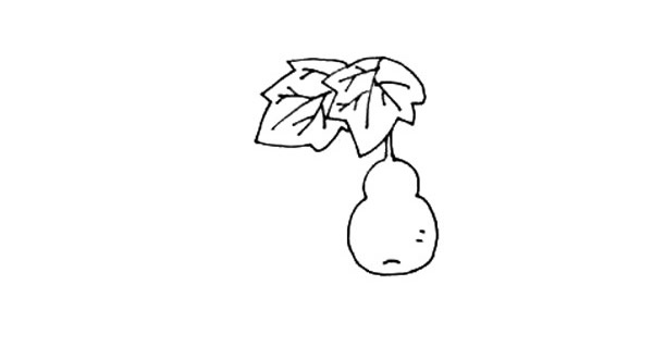 藤蔓上的葫芦简笔画图片 藤蔓上的葫芦怎么画