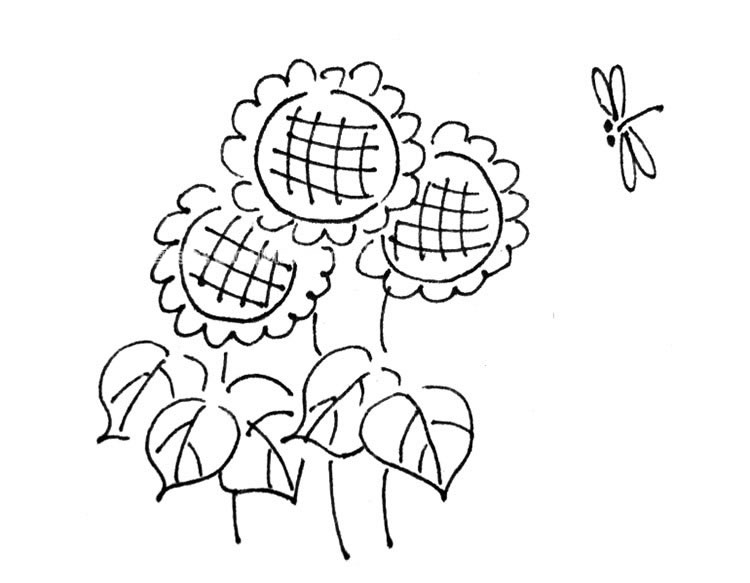 春天里的向日葵简笔画图片怎么画