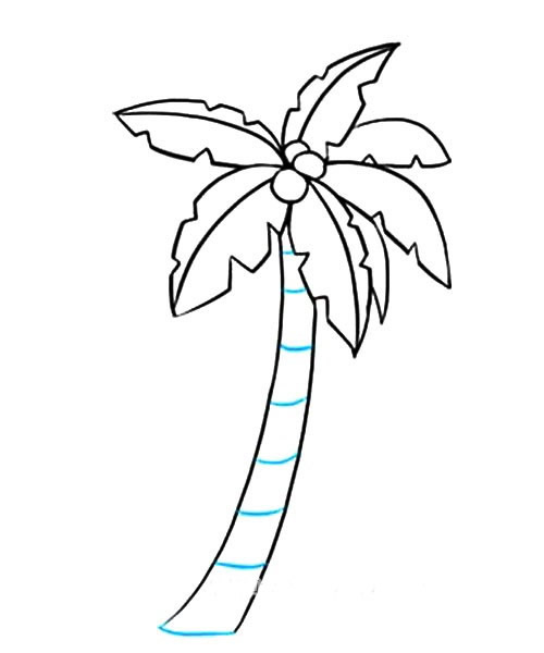 棕榈树简笔画彩色图片 棕榈树怎么画