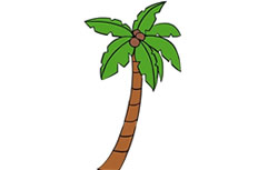 棕榈树简笔画彩色图片 棕榈树怎么画
