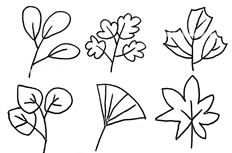 4种树叶的简笔画图片 树叶怎么画